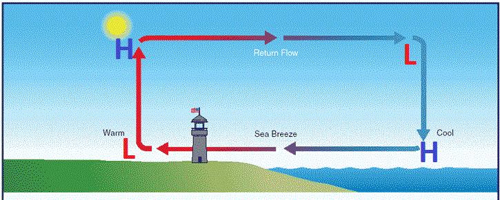 Local Winds Sea Breezes caused by uneven heating of the atmosphere During daytime, coastal land is warmer than nearby water so the air above the land is also warmer, creating lower air pressure.
