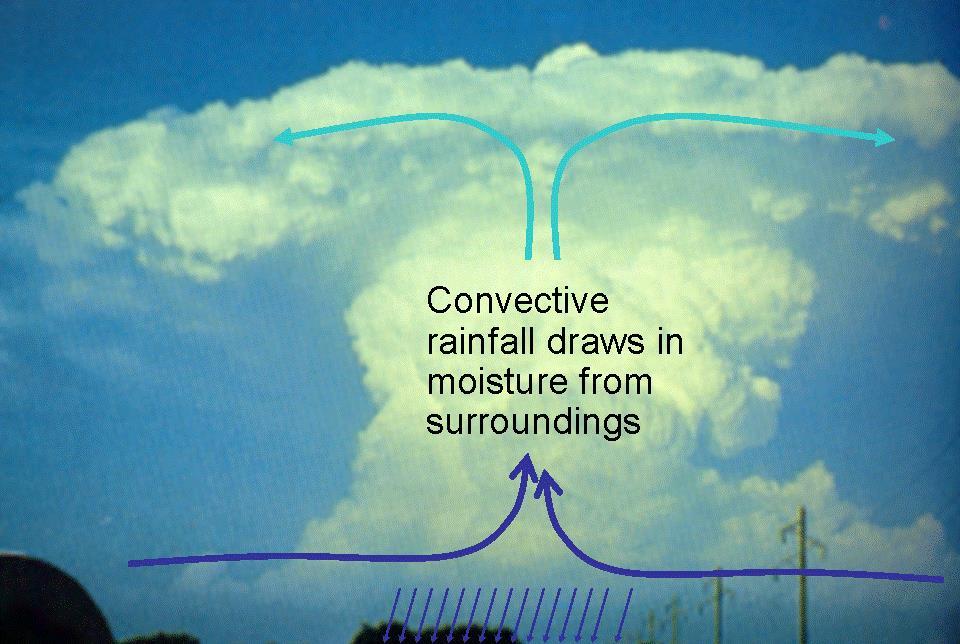 conventional and satellite observations The