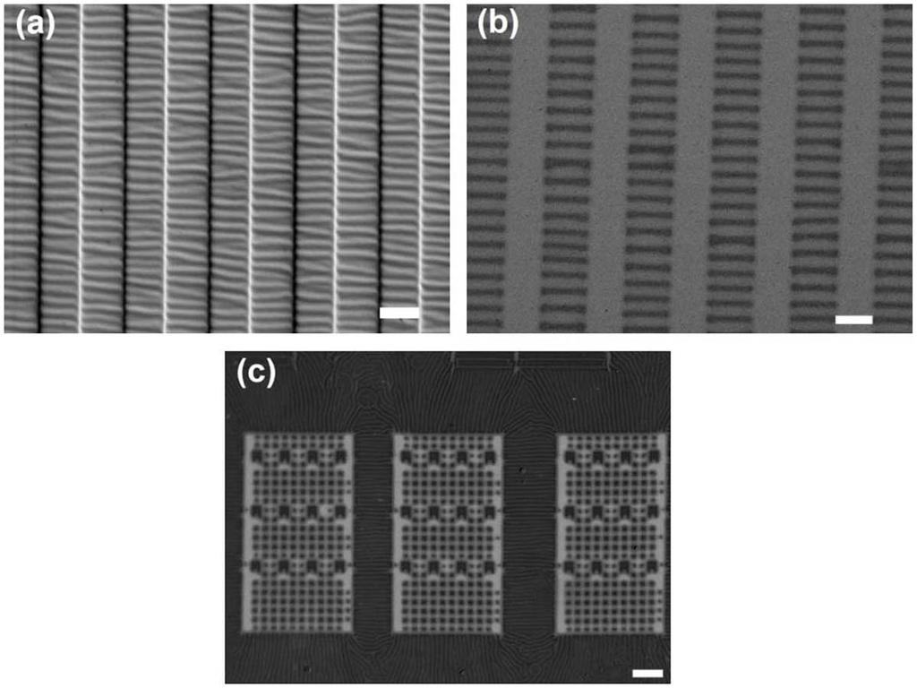 (c) The polymer nanostructures after SCTR through the using of PDMS stamp with small enough features and wrinkles on the surface at the same time. Scale bar: 5 mm.