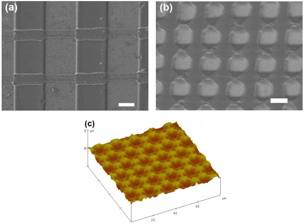 (b d) SEM images of polymer arrays exhibiting a range of geometries on the silicon substrates. Dark and bright areas correspond to the polymer film and the bare silicon wafer, respectively.