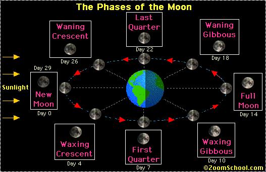 It takes our Moon about 27.3 days to completely cycle through all eight phases. Occasionally (about every 2.