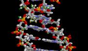 Fundamentals and Theories of Self-Assembly DNA self-assembly and Molecular l Computing Deoxyribonucleic acid (DNA) is a nucleic acid that contains