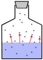 Consider a closed container half-filled with water Some liquid phase particles possess sufficient kinetic energy to overcome IMF and enter the gas phase Vapor pressure pressure due to gas phase