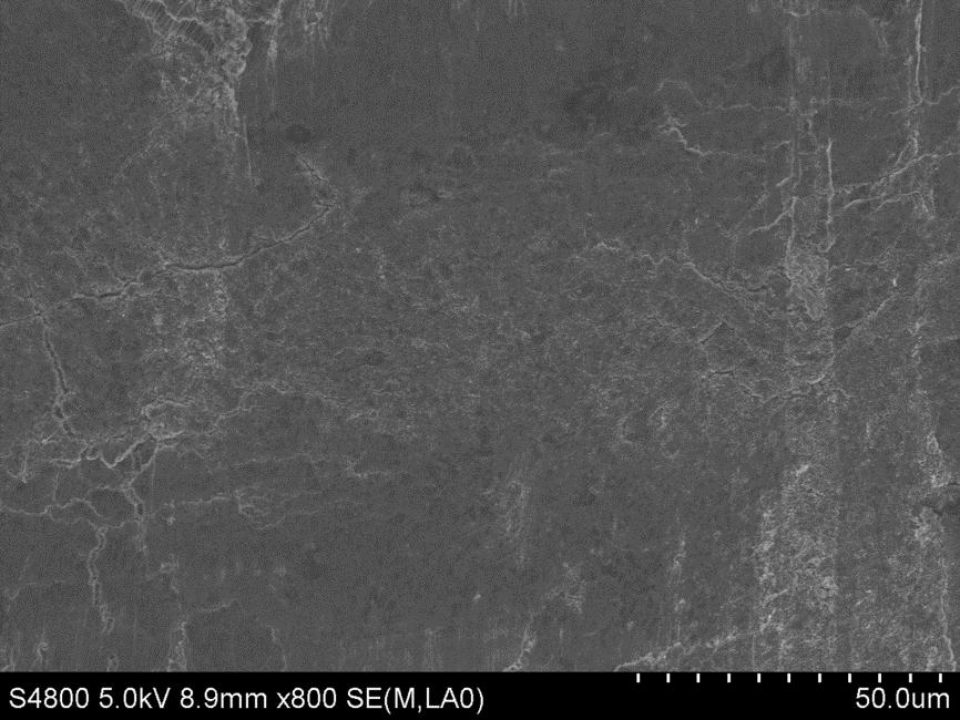 Fig. S3 The SEM images of GDY-based