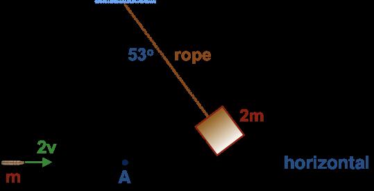 They collide and stick. 24. A wooden block of mass "2m" is tied to the end of a 2 m long rope and released as shown in the figure.