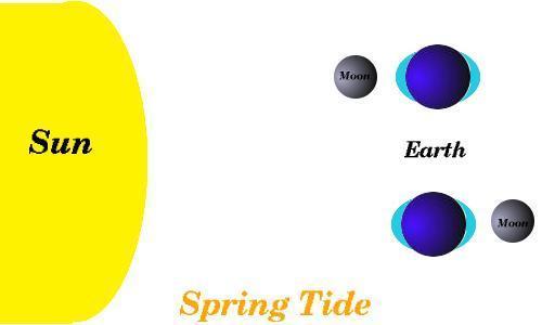 The pull of the Sun counteracts the pull of the moon. This type of tide happens twice a month.