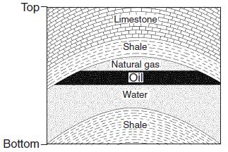 55. Base your answer to the following question on the bedrock cross section below, which represents part of Earth's crust where natural gas, oil, and water have moved upward through a layer of folded
