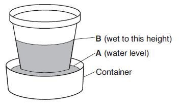 The diagram below shows the result of leaving an empty, dry clay flowerpot in a full container of water for a period of time. The water level in the container dropped to level A.