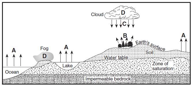 Base your answers to questions 148 and 149 on the cross section below, which represents part of Earth's water cycle. Letters A, B, C, and D represent processes that occur during the cycle.