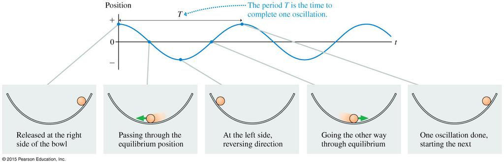 Oscillatory Motion The graph of an oscillatory motion has the form of a cosine function.