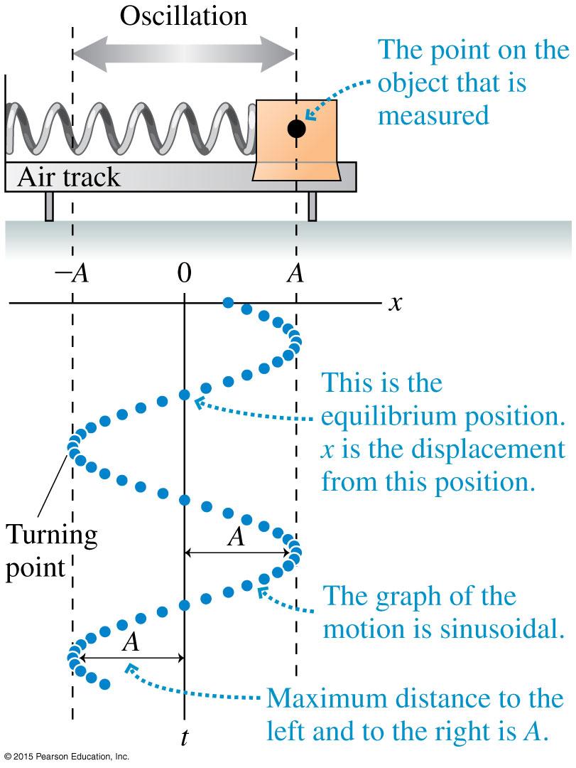 Motion of a Mass on a Spring The amplitude A is the object s maximum displacement from equilibrium.