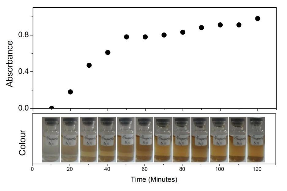 Figure 1: The change of colour of the sample in 120 minutes after mixing the seed extract of Sauropus androgynus and its associated change of absorbance of 430 nm wavelength.