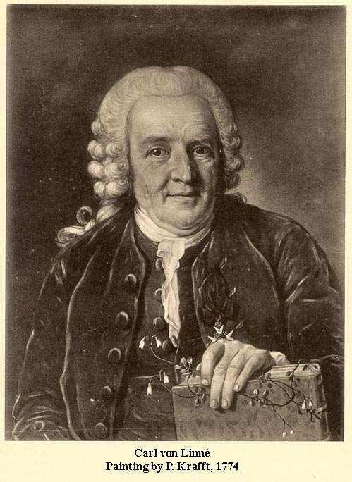 OF ORGANISMS Swedish Scientist Carolus Linnaeus (1707-1778) Binomial system of Nomenclature A plant is named according to the International Code of Botanical
