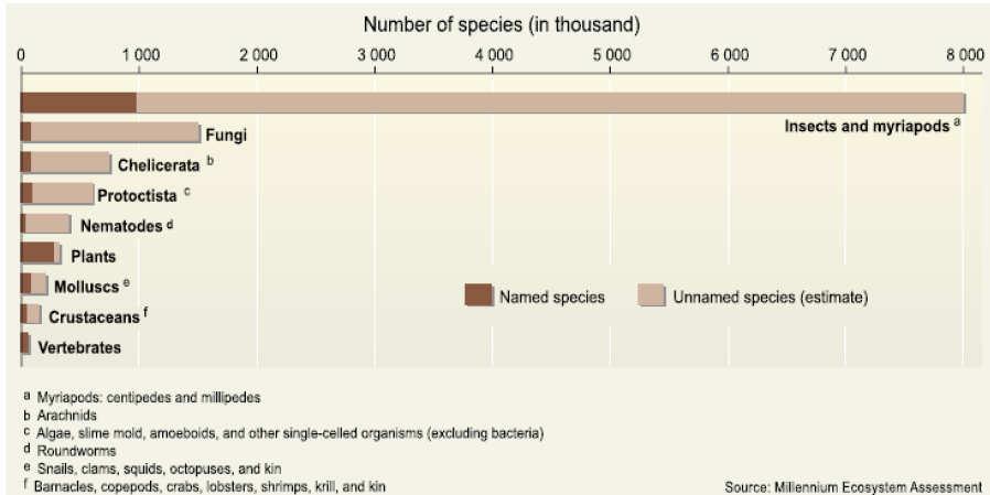 How are species distributed within broader