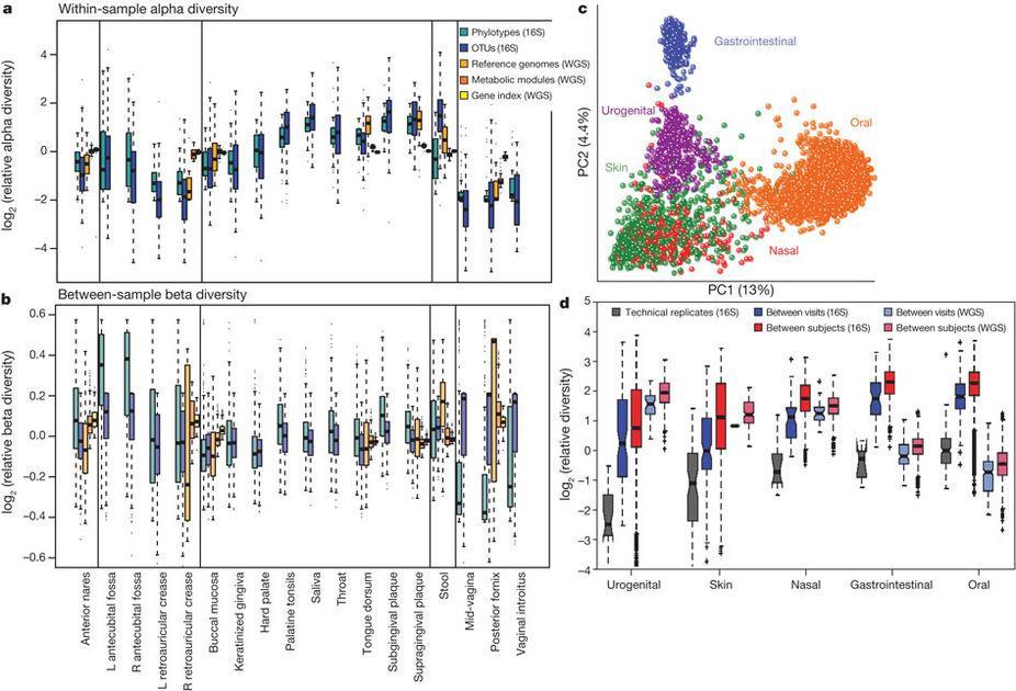 Human Microbiome Composition Different