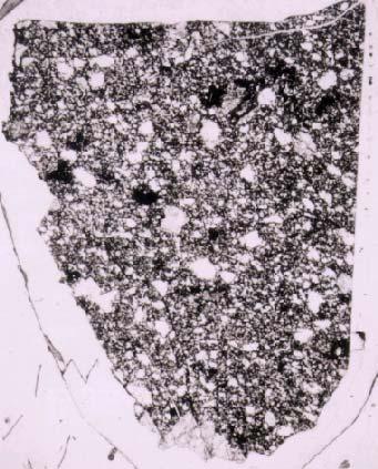 Di 61016 Anorthosite Hd Dixon and Papike Drake 74 En Fo compiled by C Meyer Fs Fa Figure 10: Pyroxene and olivine composition determined for the anorthositic portion of 61016, Figure 9: