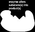 Enzyme has pocket (active site) in structure. 3.