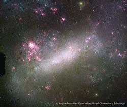 Satellite Galaxies of the Milky Way: the Magellanic Clouds The Large Magellanic Clouds