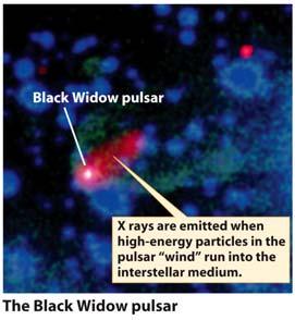 tidal forces will draw gas from the ordinary star onto the neutron star The transfer of