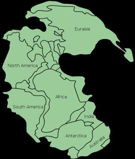 Wegner believed that the present day continents started out as a single land mass that drifted across the ocean floor to their present locations.