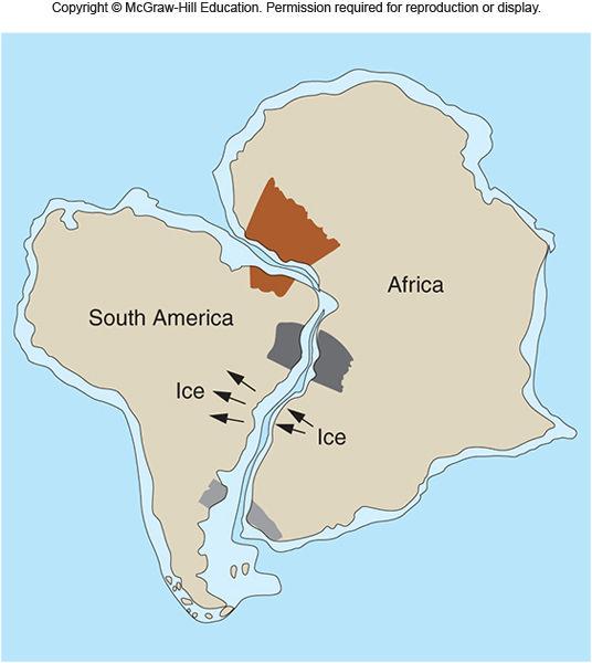 The Revival of Continental Drift Geologic Evidence for Continental Drift Fitting of Continents Redefined the edge of each continent as the middle of the continental slope greatly improved the fit