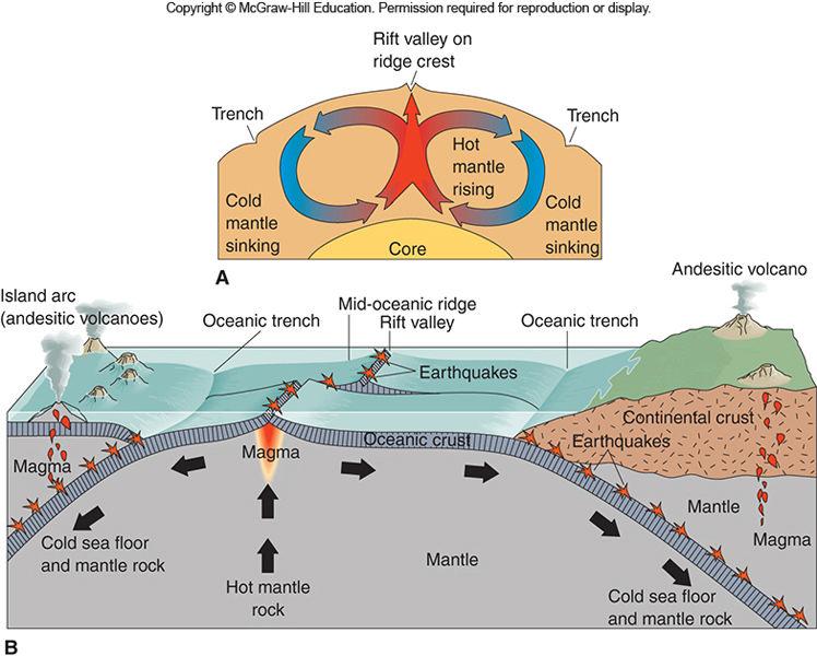 Seafloor Spreading Seafloor spreading the concept that the sea floor is moving like a conveyor belt away from the crest of the mid-oceanic ridge until it disappears by plunging beneath a continent or