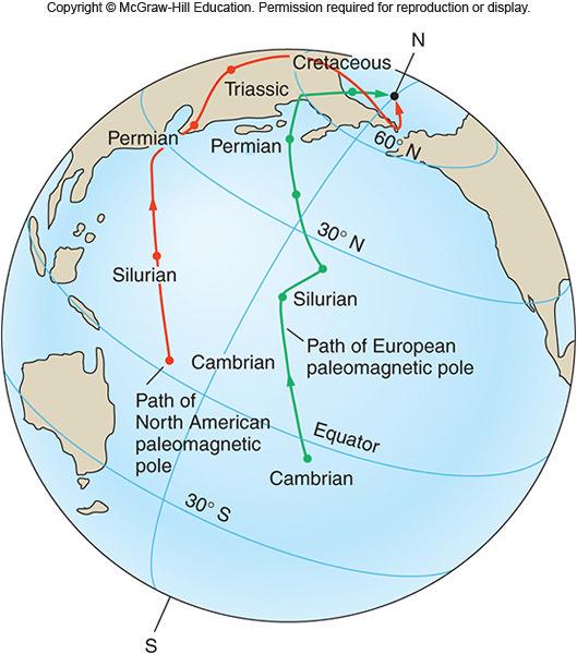 The Revival of Continental Drift Evidence From Paleomagnetism Apparent polar wander curves for different continents suggest real movement relative to one another Permian rocks in every continent show