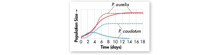 The Competitive Exclusion Principle In the the experiment shown in the graph, two species of paramecia (P. aurelia and P. caudatum) were first grown in separate cultures (dashed lines).