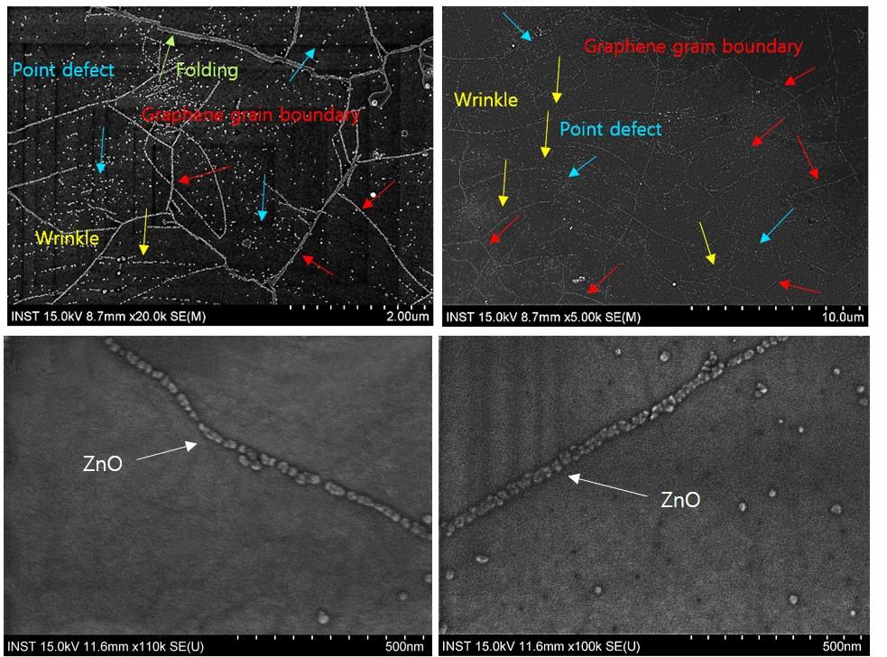 Figure S2. SEM images of the ZnO-stitched CVD graphene films.