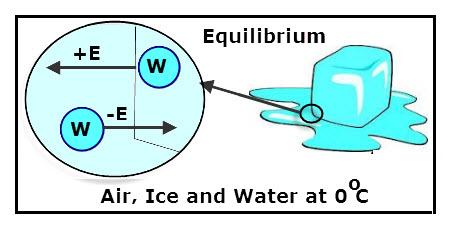 H 2 O (s) H 2 O (l) rate of melting equal to rate of freezing liquid/gas: