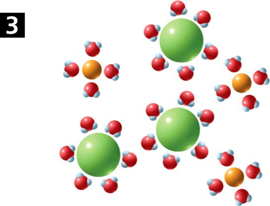 When an ionic compound dissolves in water, the charged ends of water molecules surround the oppositely charged ions.