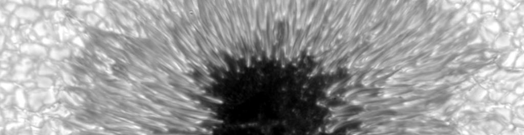 Sunspots: Imaging in molecular