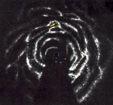14-31 Spiral Arms Young Blue Stars ³Stars form in gas clouds ³These clouds are found in the spiral arms ³Therefore young stars are found in spiral arms ³Massive, young stars are bright and die