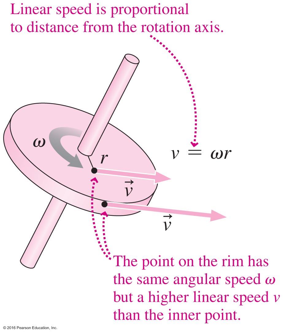 Angular Velocity and Linear Velocity θθ ss rr