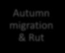 migration & Rut Climate
