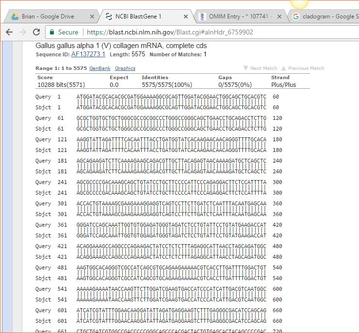 How do you know this? The query line shows the DNA sequence you copied into BLAST.