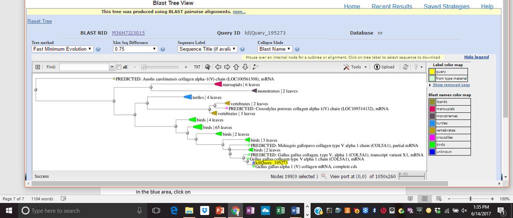 This will create for you a proposed cladogram with your query sequence highlighted in yellow and placed on the cladogram. 11.