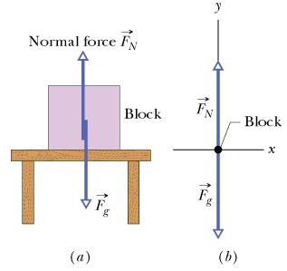 Normal Force q Force from a solid surface which keeps object from falling through q Direction: