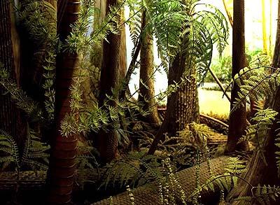 Carboniferous Fern Forests