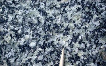 INTERMEDIATE IGNEOUS ROCK (Diorite): Rich in intermediate plagioclase and hornblende, diorites can also have accessory minerals including( but necessarily all present in same rock) quartz, pyroxene,