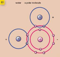 Compounds are stable combinations of atoms of different elements that are