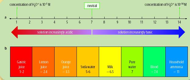 Acids, Bases and Buffers An acid is a substance that produces hydrogen ions (H + ) in solution.