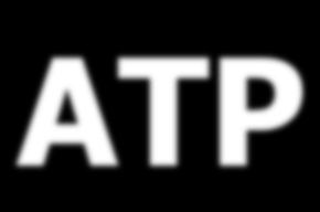 ATP n ATP yields ADP + P + NRG n Made of a nitrogen base, ribose sugar, and three