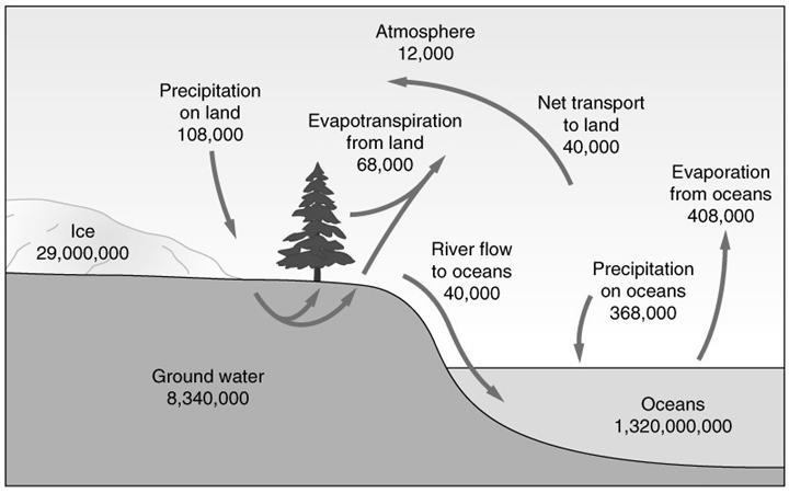 Hydrologic Cycle Transfer of H 2 O between exogenic reservoirs:
