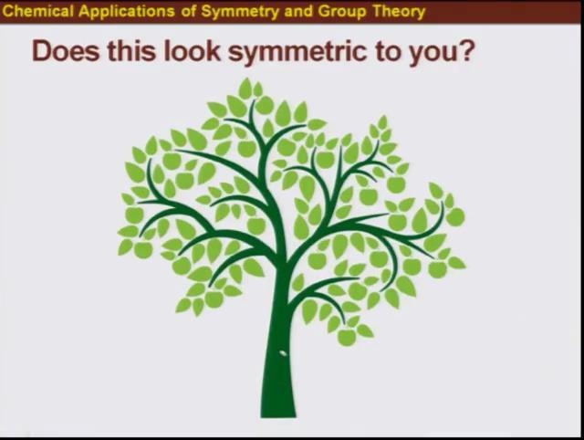 (Refer Slide Time: 10:05). Does it look symmetric to you? This is the picture of tree which has like an arbitrary shape.