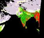 VEGETATION DYNAMICS FROM INSAT 3A CCD 25 May to 9June 08 10 June to 25 June 08 26 June to 11 July