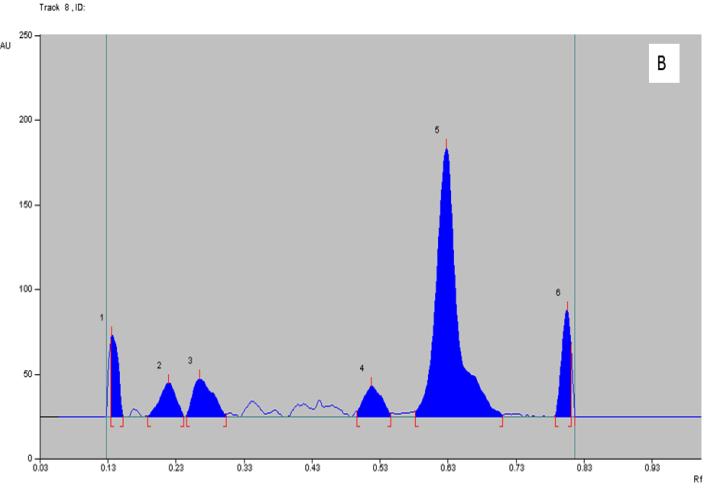Figure 5: A- HPTLC Chromatogram of track 4(Aqueous extract) at 366nm, B- HPTLC Chromatogram of track 8(Methanol extract) at 366nm, C- HPTLC Chromatogram of track 12(Acetone extract)
