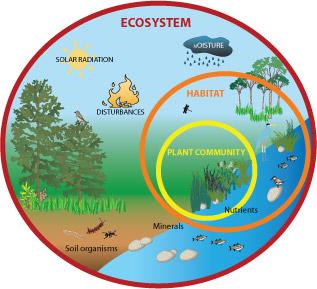 An ecosystem is an organism s surroundings