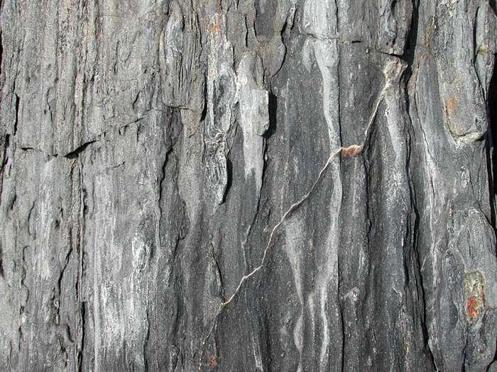 Photo by Late Stages of Rock History Thin white veins (Figure 13) and thicker granite dikes (Figure 14) cut across the metamorphic foliation, indicating these features were formed at some time after