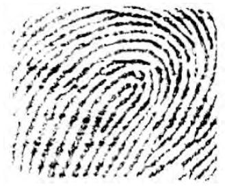 Question 1 [4 marks] (a) Name the type of finger print shown below.